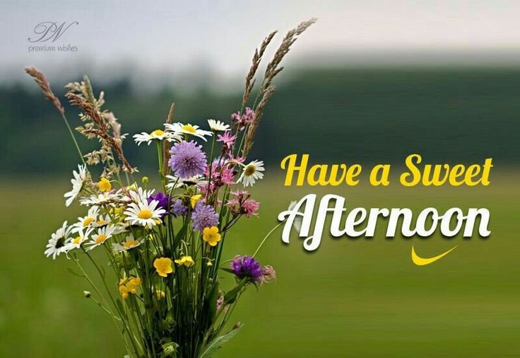 ai good afternoon images