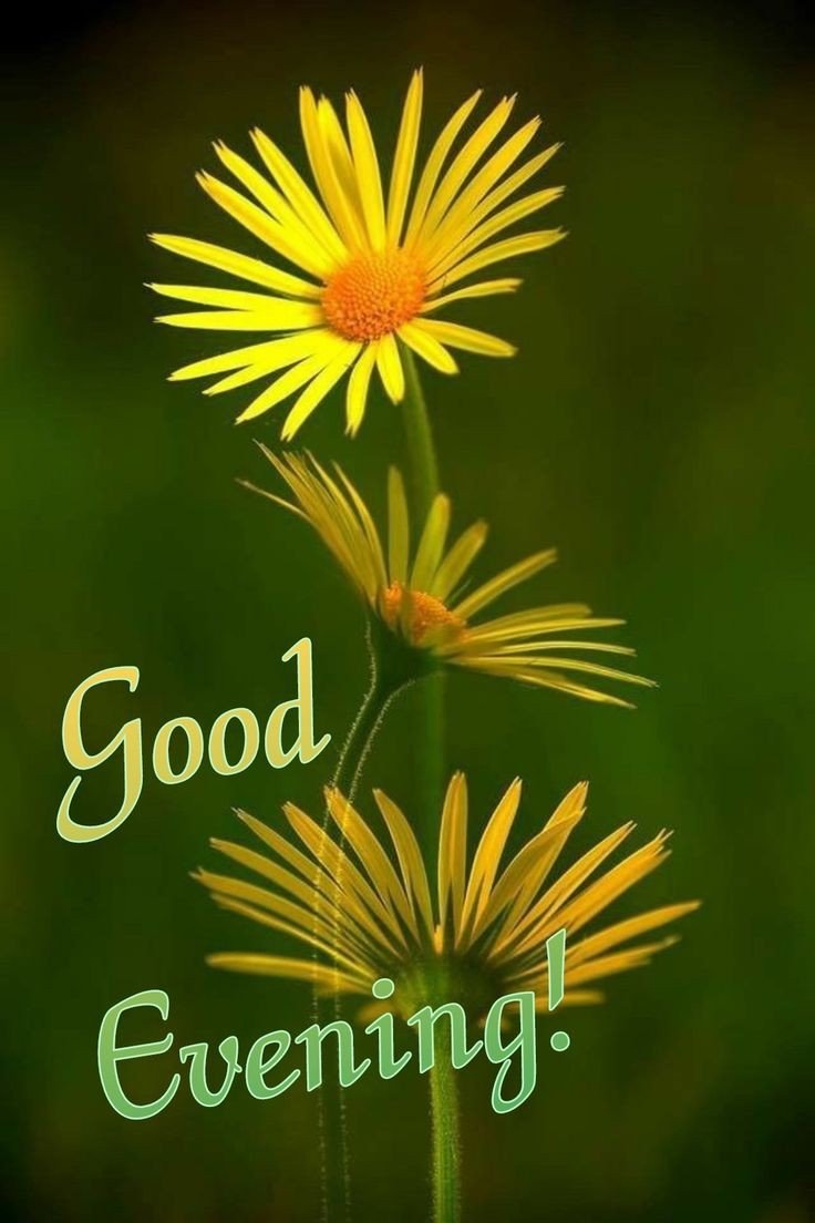 amazing good evening images
