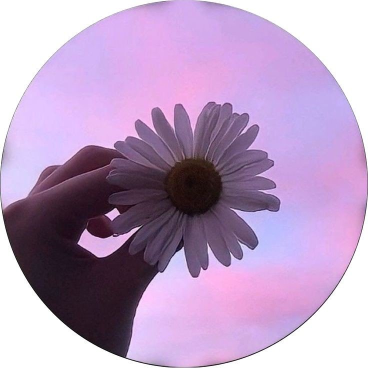 attractive whatsapp dp images boy simple