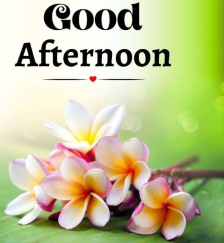 autumn good afternoon images