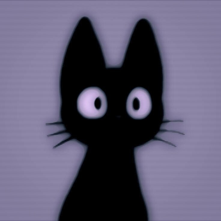 black cat cute pfp