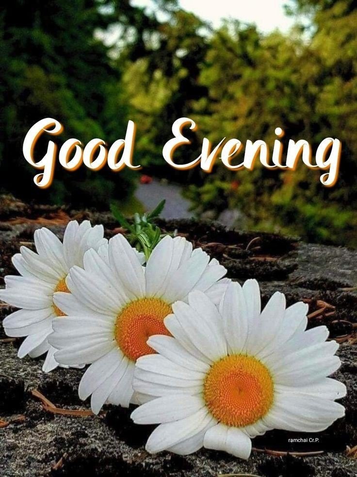 christian good evening images