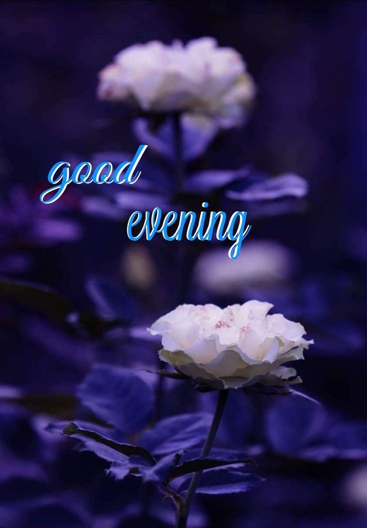 cloudy good evening images