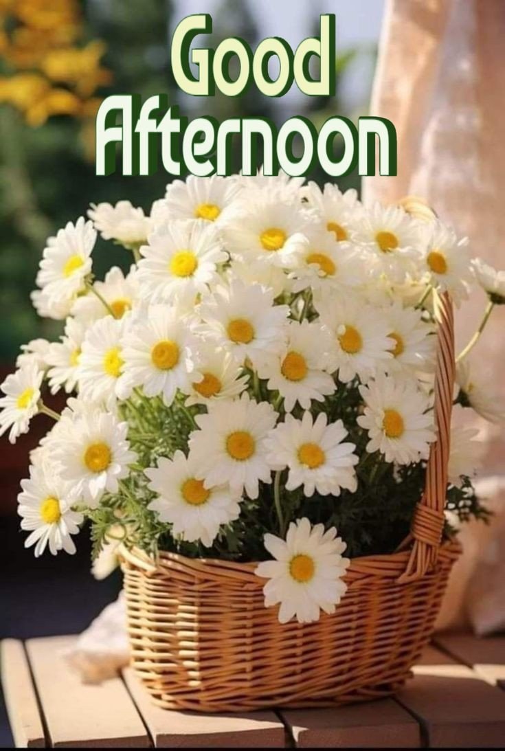 good afternoon images cartoon