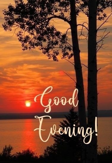 good evening darling images