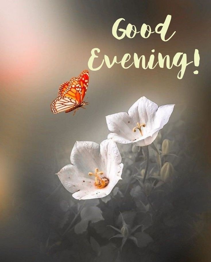 good evening images ai