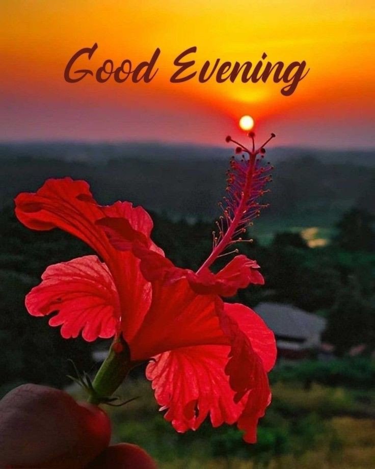 good evening images and wishes