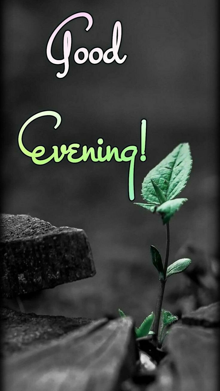 good evening images blessings