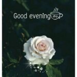good evening images dear