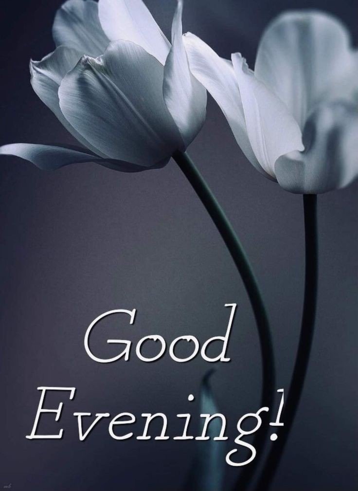 good morning images arabic