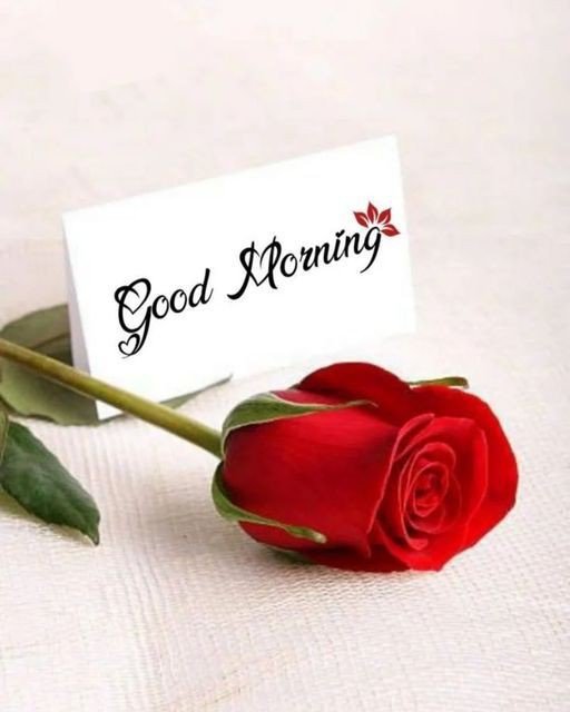 good morning images black women