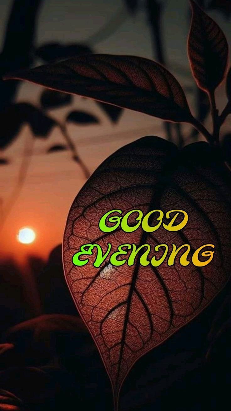 good morning images download for whatsapp