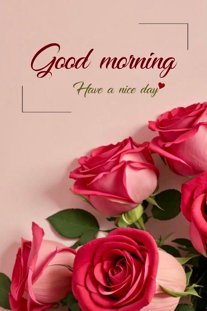 good morning pictures