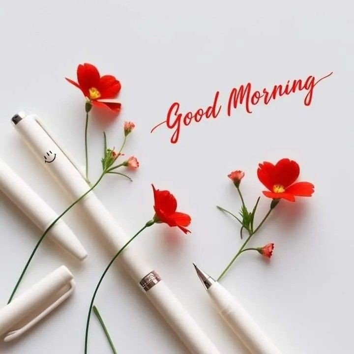 good morning wednesday flowers images