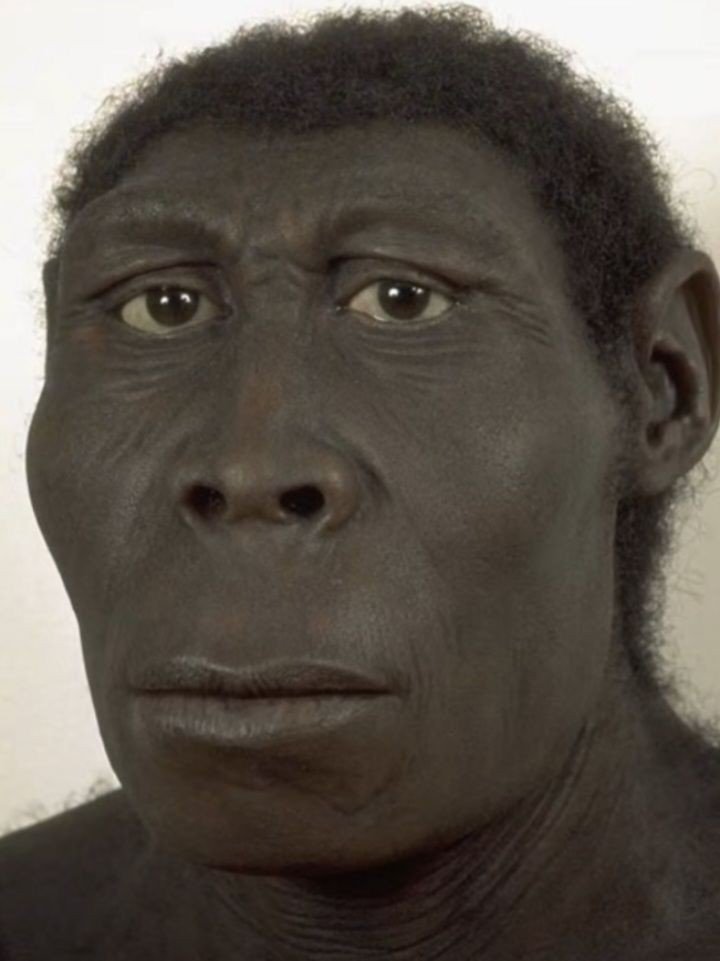 goofy ahh christmas pfp