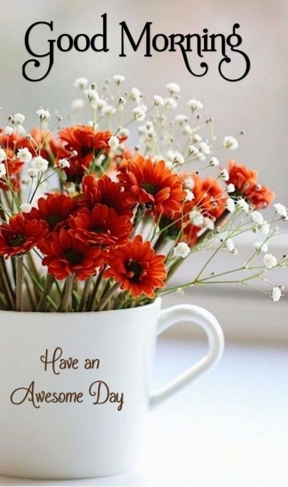 hot good morning pic