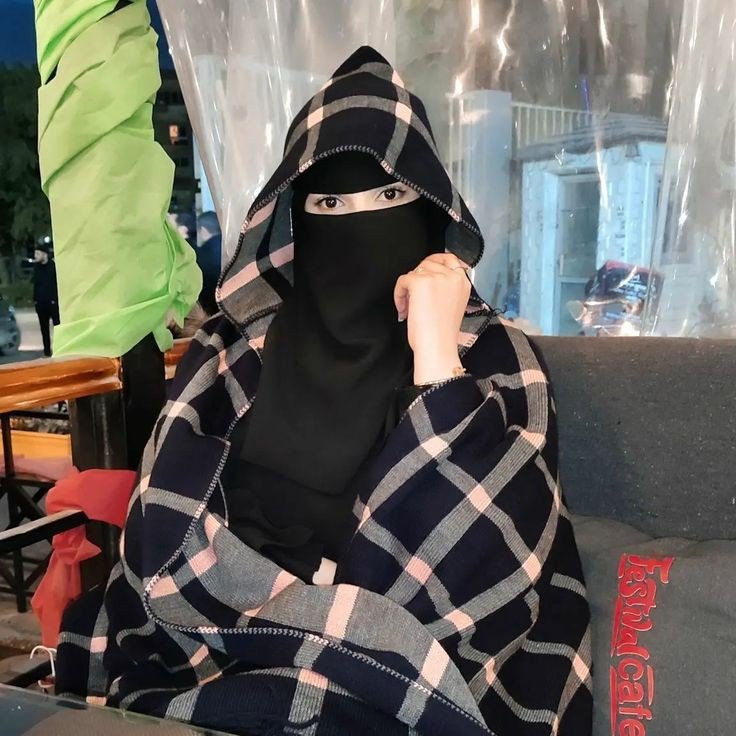 muslim girls dp with cat