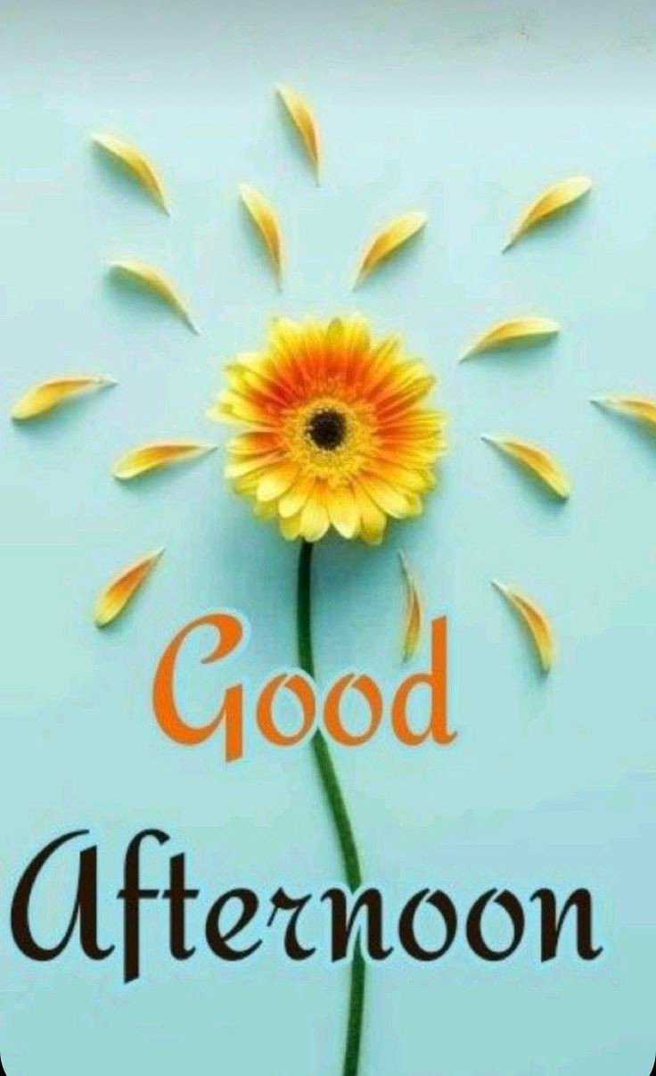 sunday good afternoon images