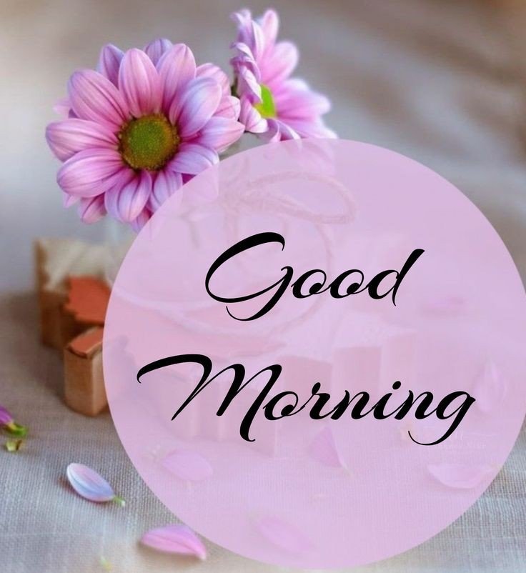 sunday good morning flower images