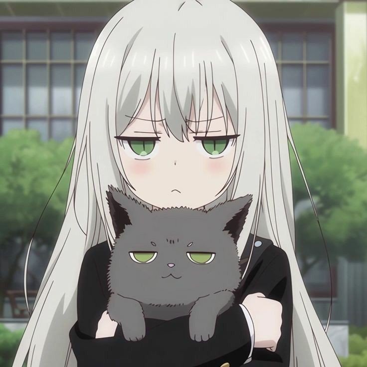 tiktok editor pfp background