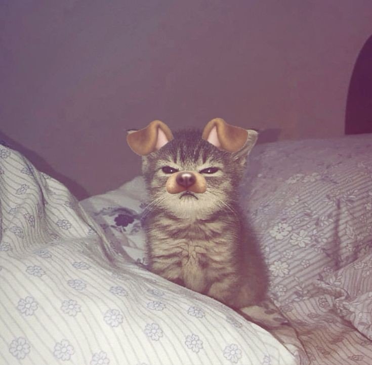 tiktok pfp default sad