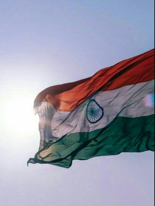tiranga colour trading dp