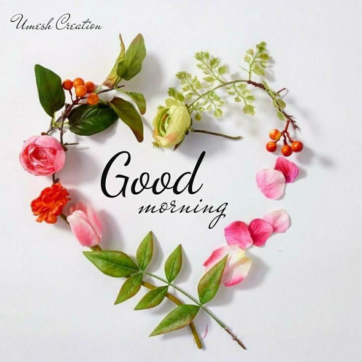 today special good morning images bengali pdf